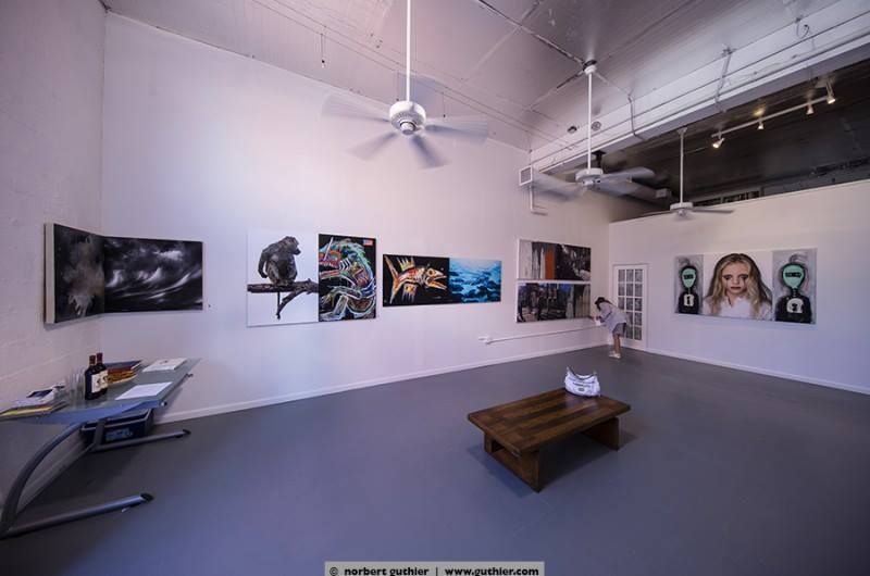 “Co_works” with Norbert Guthier, at the studio of Edouard Duval-Carrié, Miami, FL, 2017: photograph 6 (Posted by Matt Sesow on Facebook, April 11, 2017)