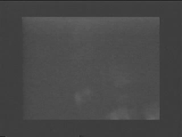 Still from Fugazi at Fort Reno by Matt Sesow