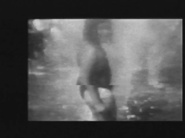 Still from Celebrated Summer