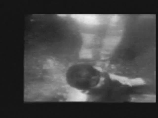 Still from Celebrated Summer by Matt Sesow