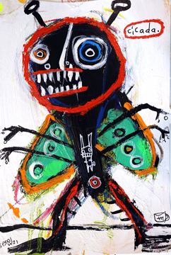 Cicada by Matt Sesow