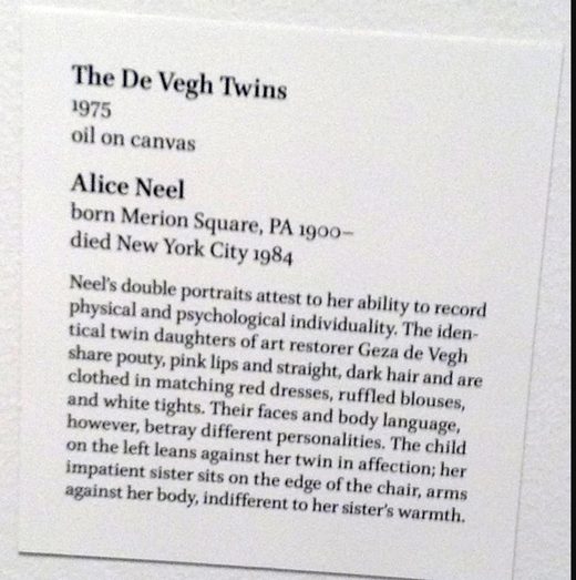 Museum wall label for Alice Neel, The De Vegh Twins, 1975