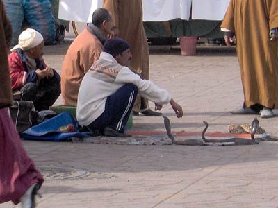 MOROCCO, 2006: image 63 from the original sesow.com press page