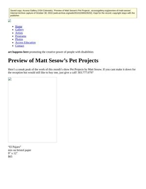 2010 access gallery preview pet projects, page 1