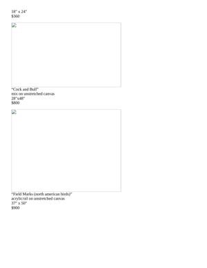 2010 access gallery preview pet projects, page 21